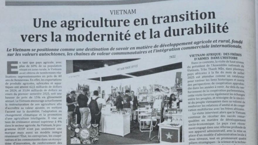 Vietnam – A dynamic development partner for Africa